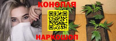 jwh Будённовск