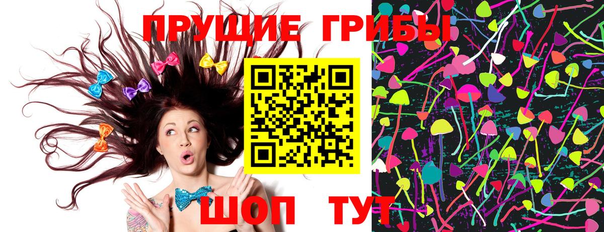 Кинешма  купить наркотик  Вход с VPN  Галлюциногенные грибы MAGIC MUSHROOMS  Псилоцибиновые грибы Cubensis 