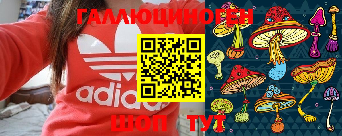 Галлюциногенные грибы Psilocybe Кинешма
